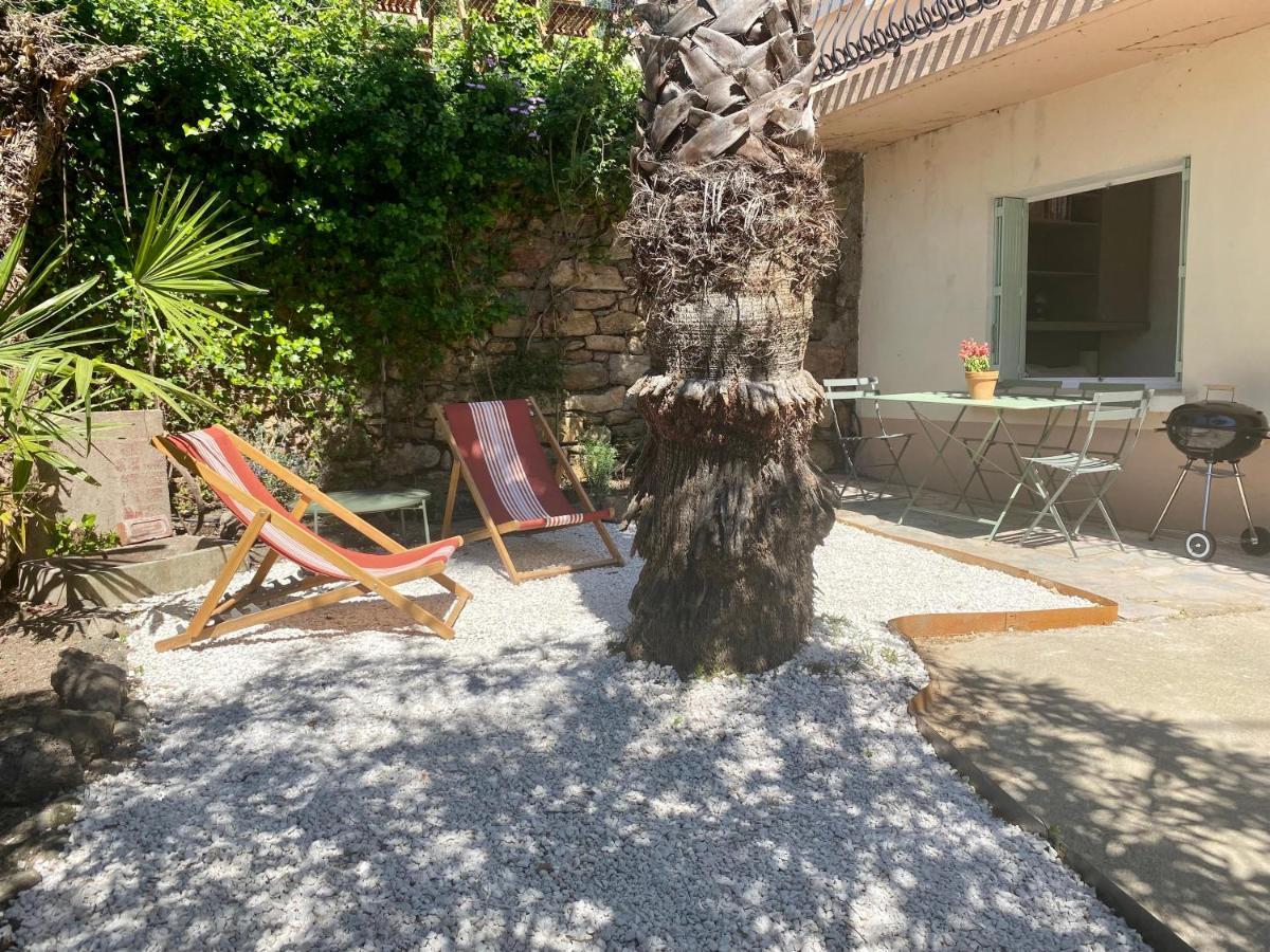 Gite Le Palmier - Perfectly Located Cosy Studio With Private Garden Puissalicon Экстерьер фото