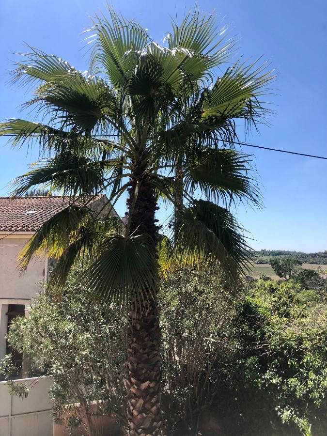 Gite Le Palmier - Perfectly Located Cosy Studio With Private Garden Puissalicon Экстерьер фото