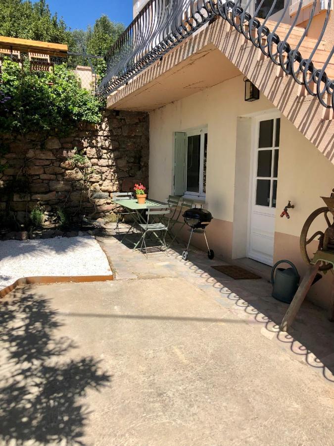 Gite Le Palmier - Perfectly Located Cosy Studio With Private Garden Puissalicon Экстерьер фото