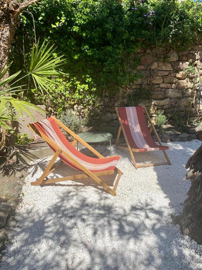 Gite Le Palmier - Perfectly Located Cosy Studio With Private Garden Puissalicon Экстерьер фото